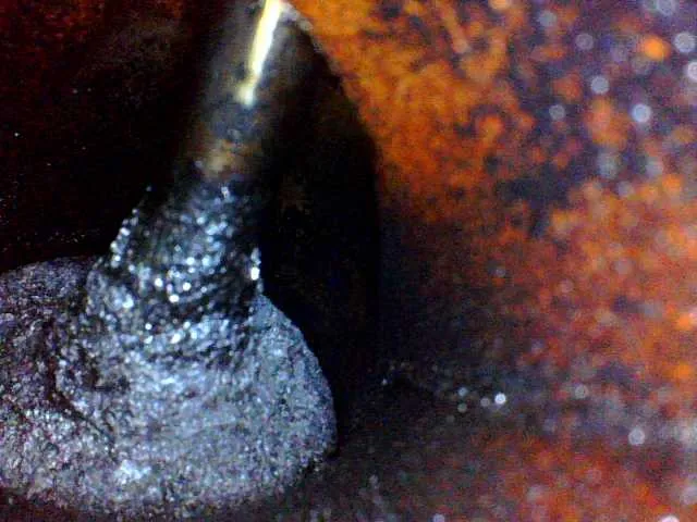 Intake valve image visible carbon buildup